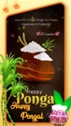 Happy Pongal Beautiful Full Screen Whatsapp Status Video